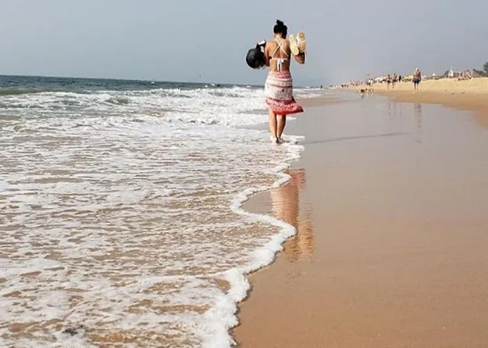 1Bhk Pool View Apartment - Candolim Resort